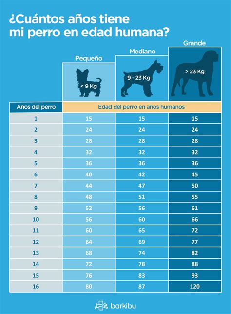 en.perdos|edad de perros en humanos.